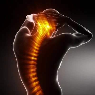 Chiropractic Philadelphia PA Back Pain Visual